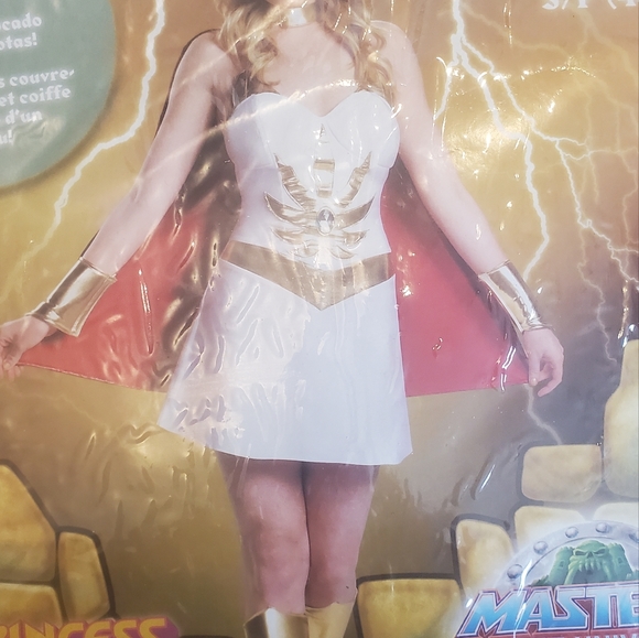 She-Ra Costume - Picture 2 of 4